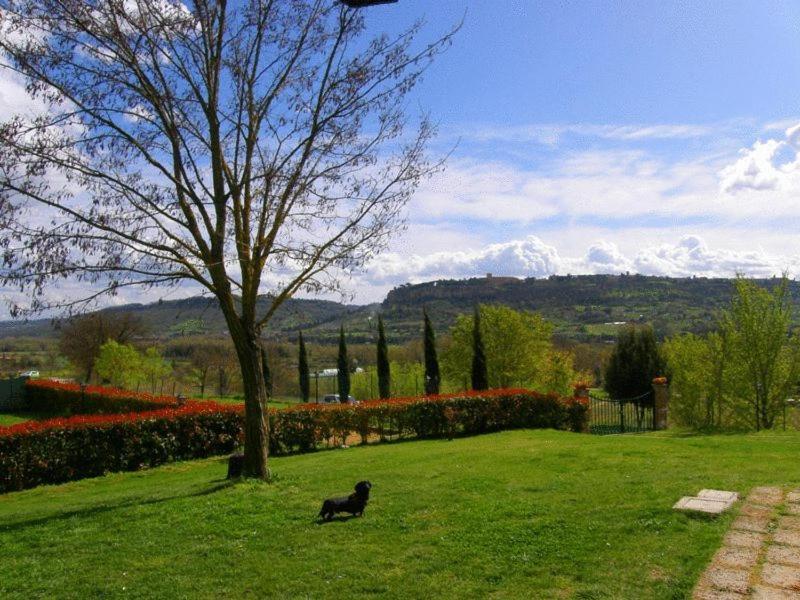Agriturismo Il Poggio Di Orvieto Ngoại thất bức ảnh