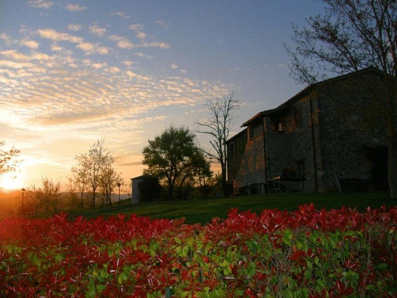 Agriturismo Il Poggio Di Orvieto Ngoại thất bức ảnh