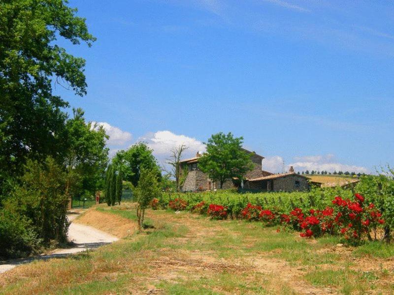 Agriturismo Il Poggio Di Orvieto Ngoại thất bức ảnh