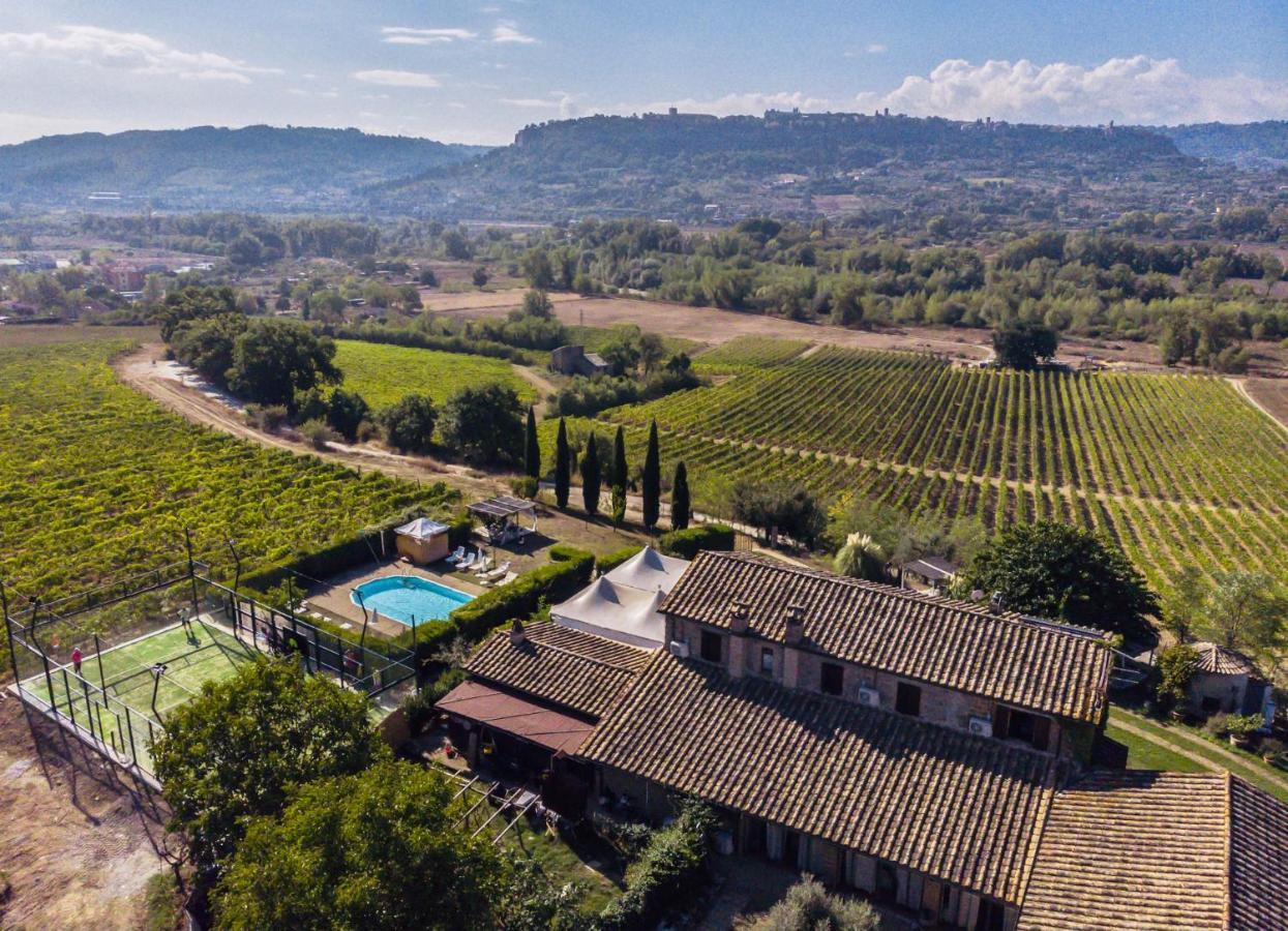 Agriturismo Il Poggio Di Orvieto Ngoại thất bức ảnh