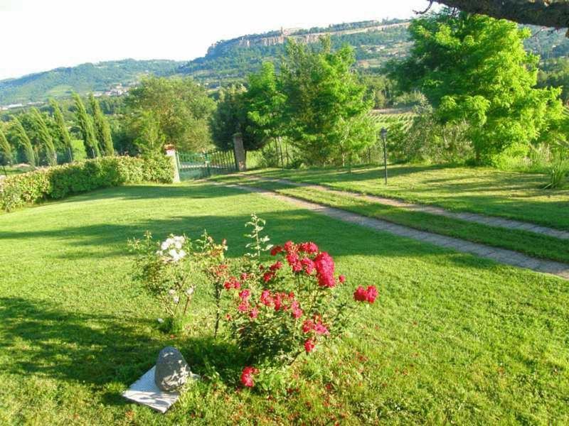 Agriturismo Il Poggio Di Orvieto Ngoại thất bức ảnh