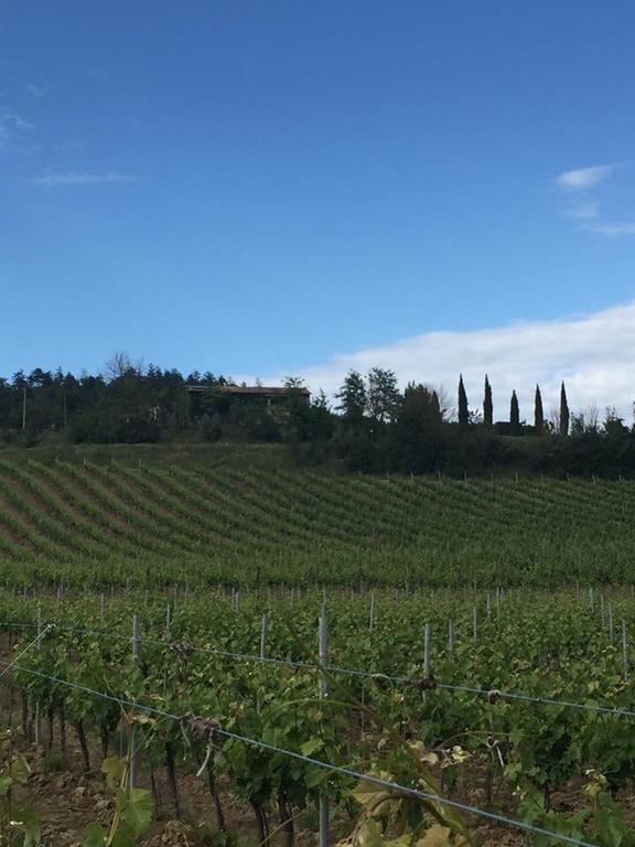 Agriturismo Il Poggio Di Orvieto Ngoại thất bức ảnh