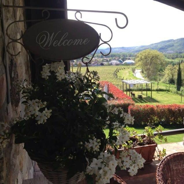 Agriturismo Il Poggio Di Orvieto Ngoại thất bức ảnh