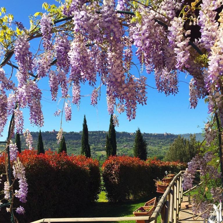 Agriturismo Il Poggio Di Orvieto Ngoại thất bức ảnh