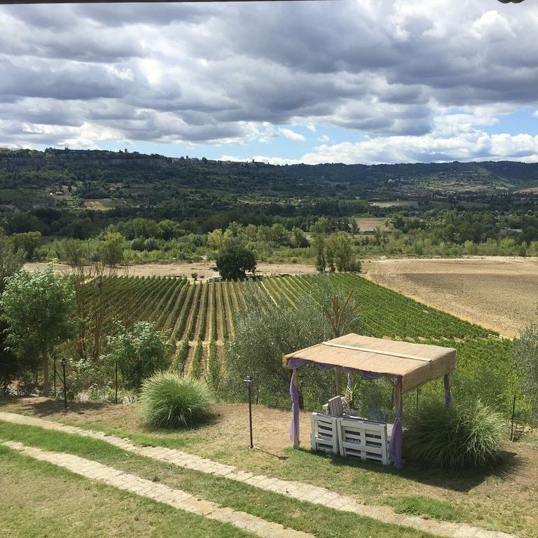 Agriturismo Il Poggio Di Orvieto Ngoại thất bức ảnh