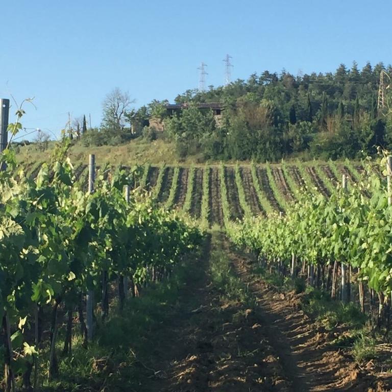 Agriturismo Il Poggio Di Orvieto Ngoại thất bức ảnh