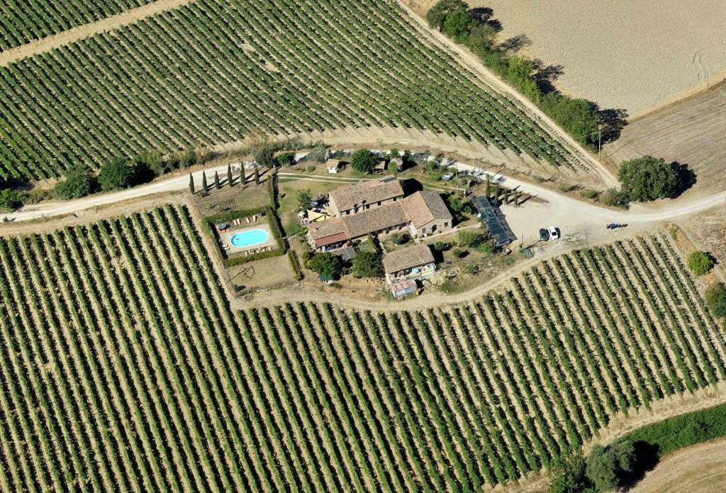 Agriturismo Il Poggio Di Orvieto Ngoại thất bức ảnh