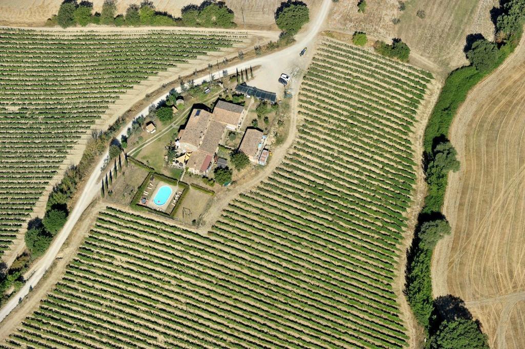 Agriturismo Il Poggio Di Orvieto Ngoại thất bức ảnh