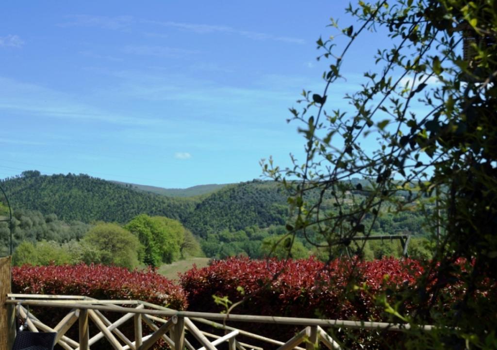 Agriturismo Il Poggio Di Orvieto Ngoại thất bức ảnh